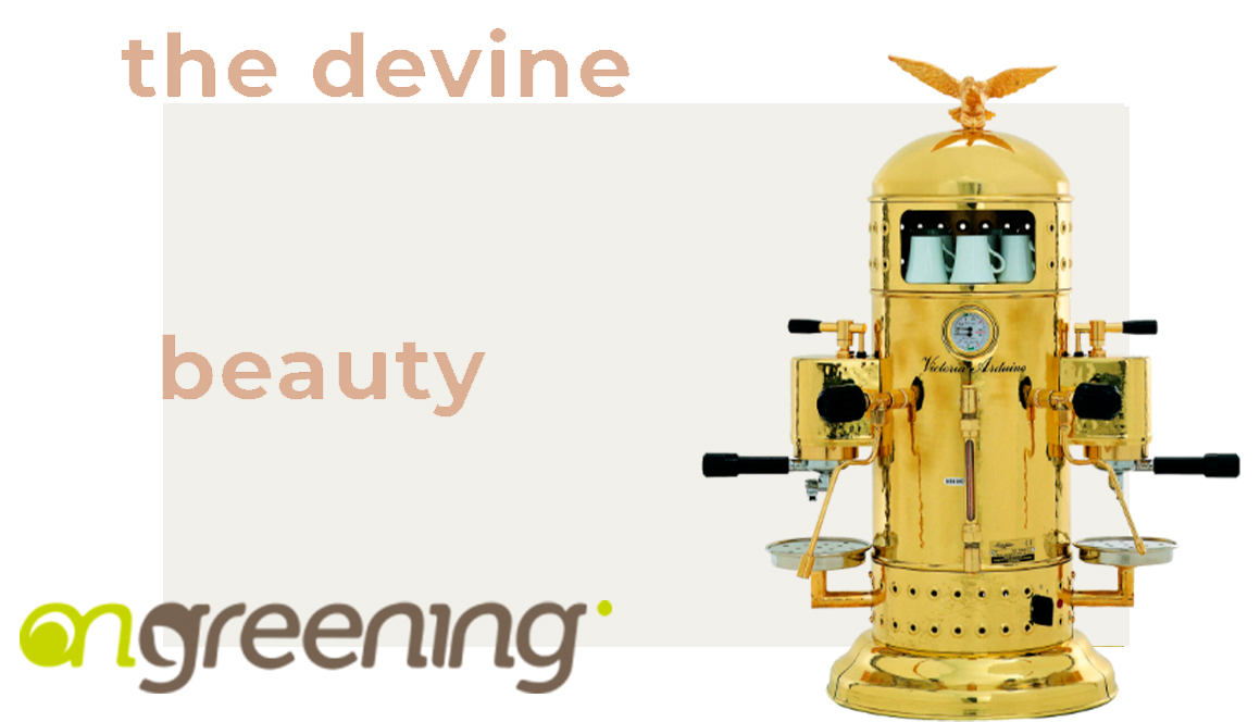 Venus bar victoria arduino mexico